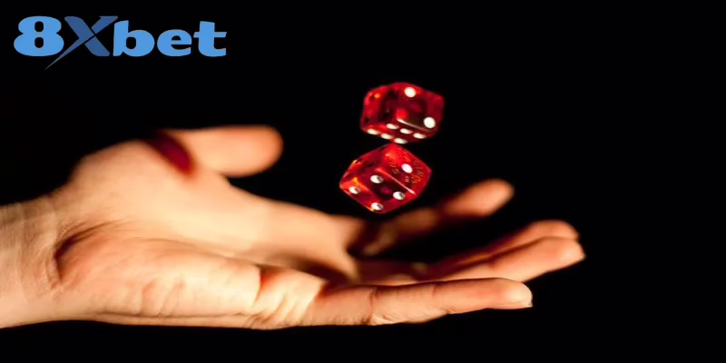 Các công cụ hỗ trợ đặt cược Tài Xỉu đạt hiệu quả